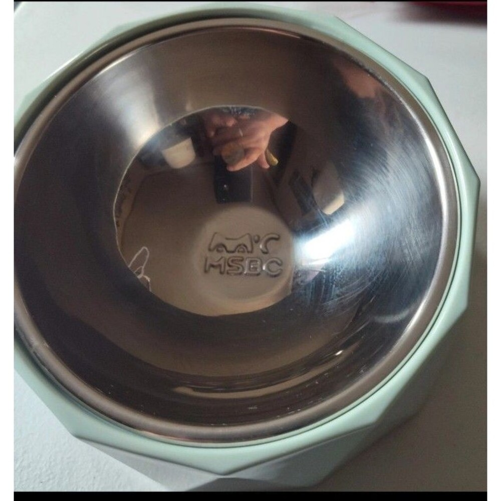 Tilted small pet bowl